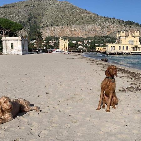 Due Cani Apartment Palermo Exterior photo